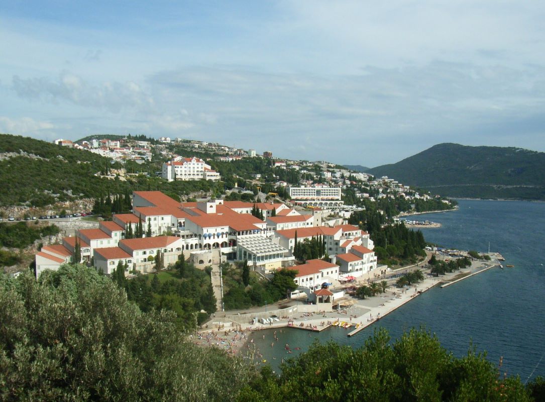 202003Neum